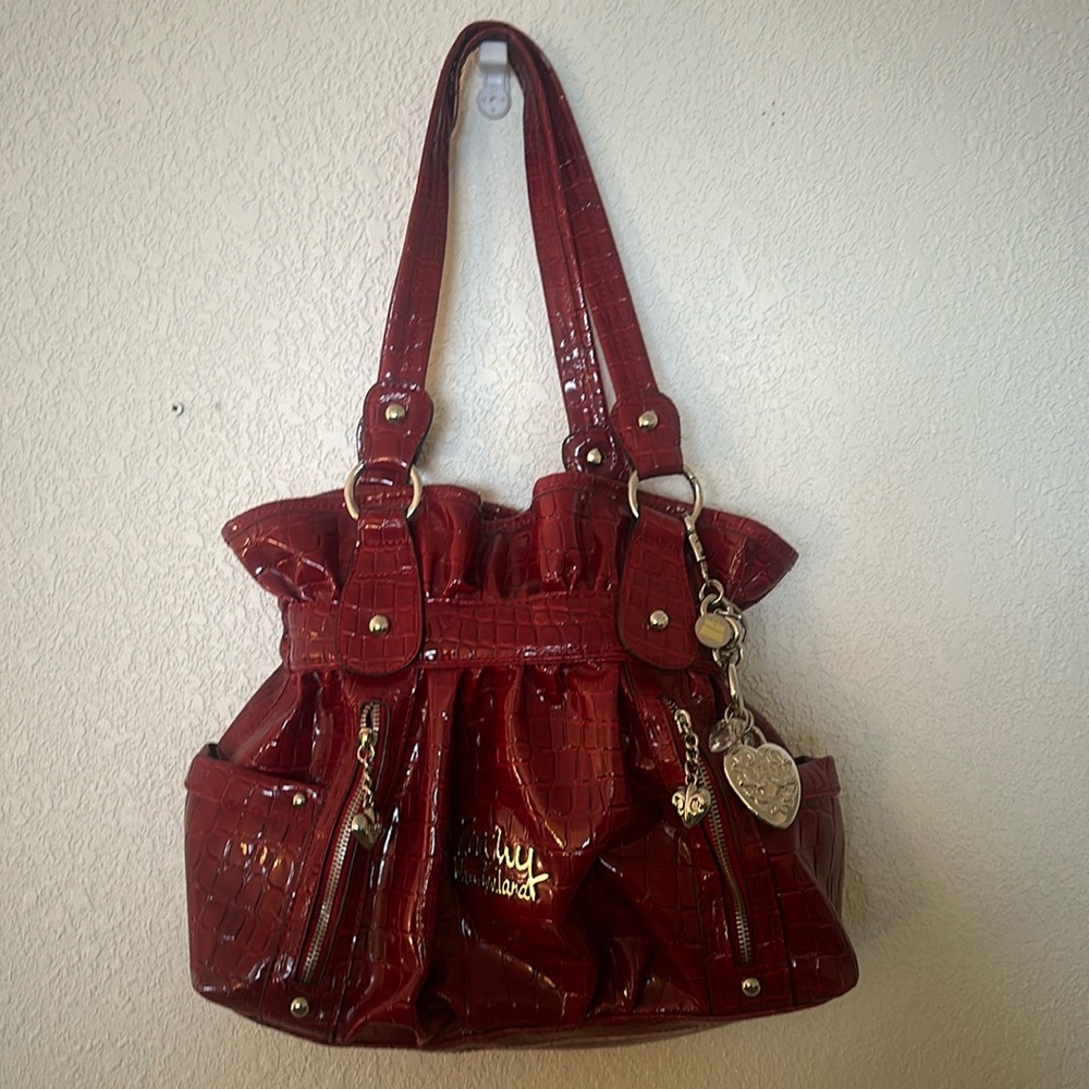 Kathy Van Zeeland purse